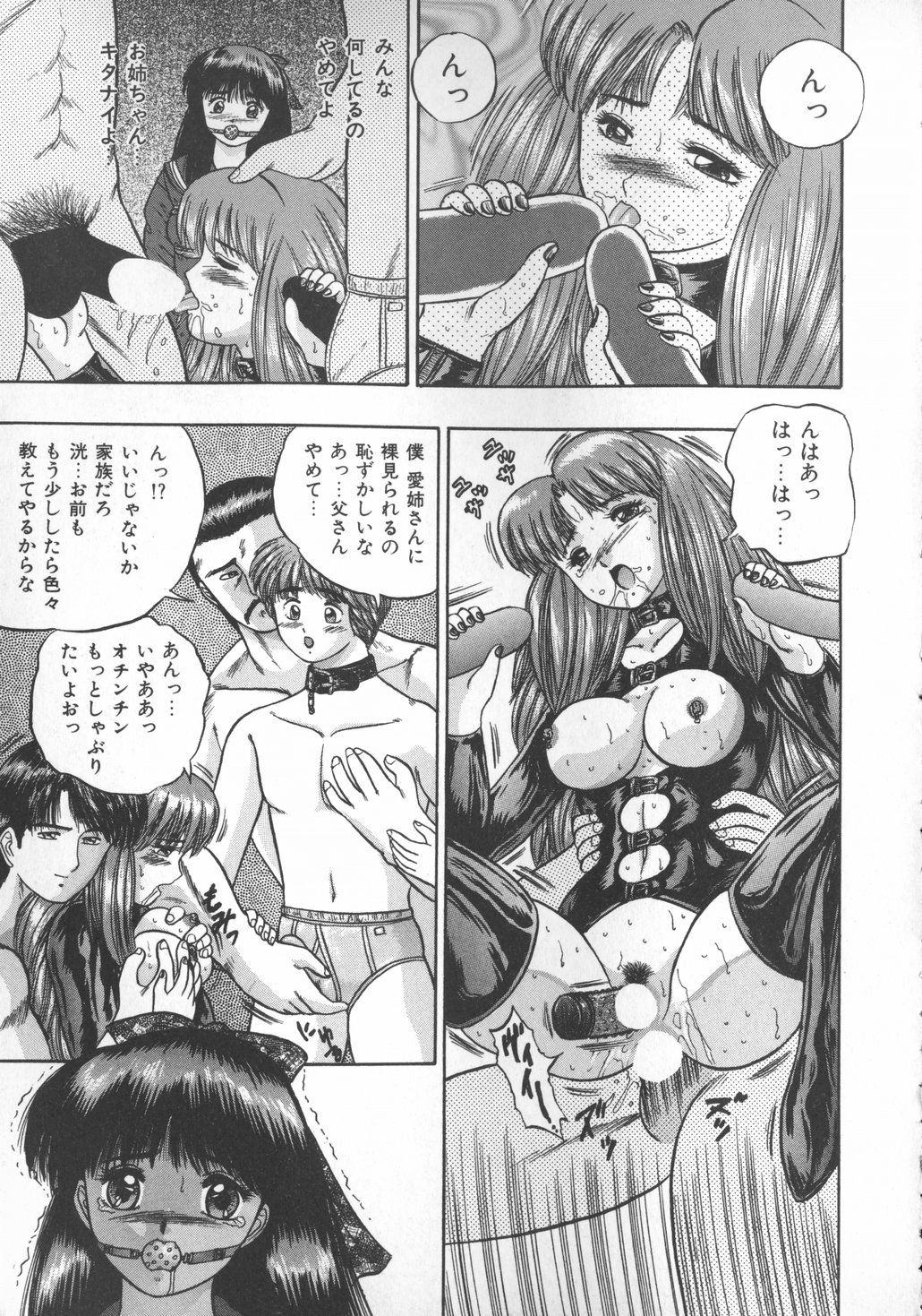Himerareta Koukishin page 10 full