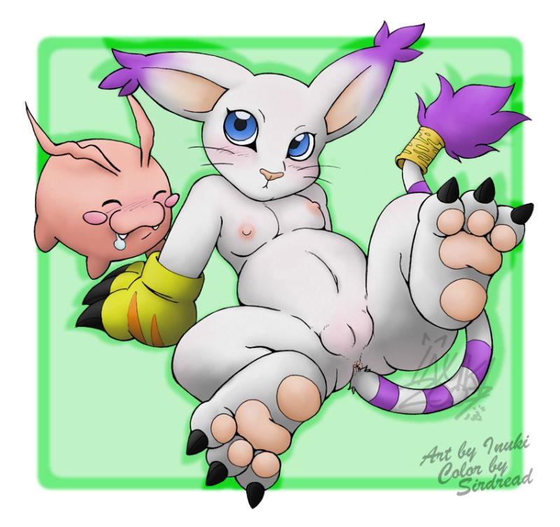Best of gatomon page 5 full