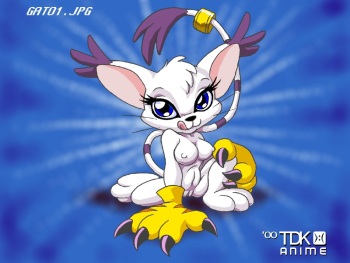 Best of gatomon cover