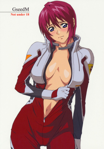 (C68) [M (Amano Ameno)] GseedM (Gundam SEED DESTINY) cover