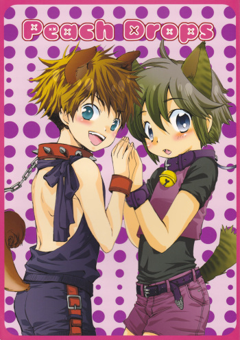 (CCOsaka61) [Arco Iris (Akutsu Kouji, Narushige Rinpei)] Peach Drops cover