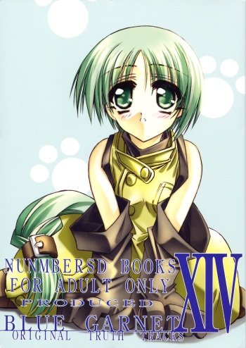 (C62) [BLUE GARNET (Serizawa Katsumi)] BLUE GARNET XIV SKY (SKYGUNNER) cover