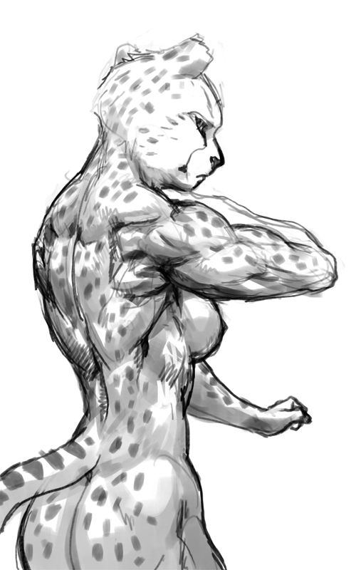Furry Various Species page 12 full