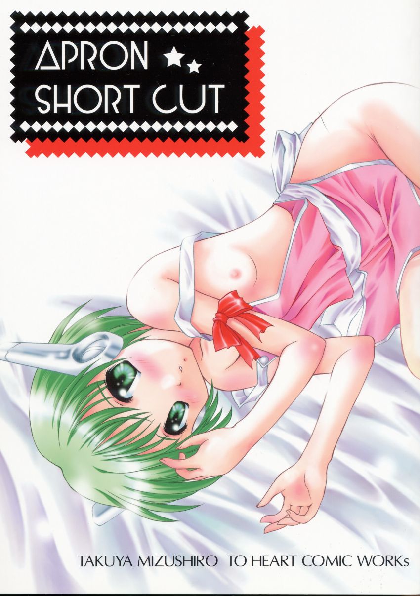 APRON SHORT CUT page 1 full