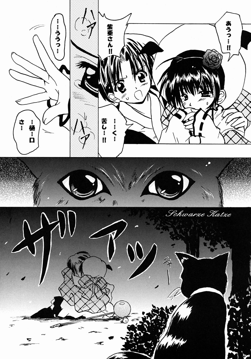 Schwarze Katze page 4 full
