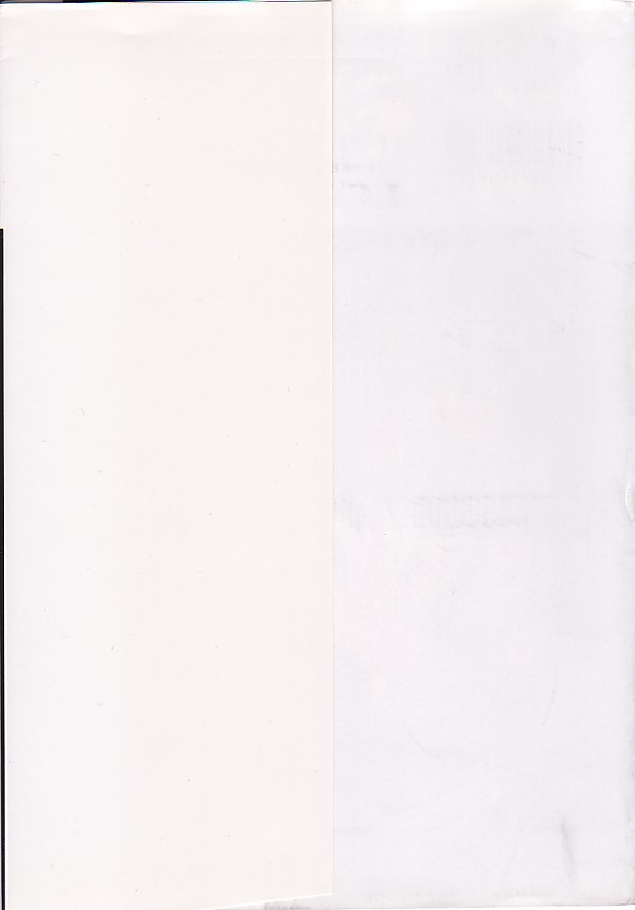 Chu page 4 full