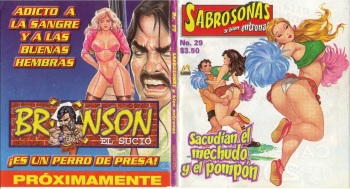 Sabrosonas 29 (Spanish) cover