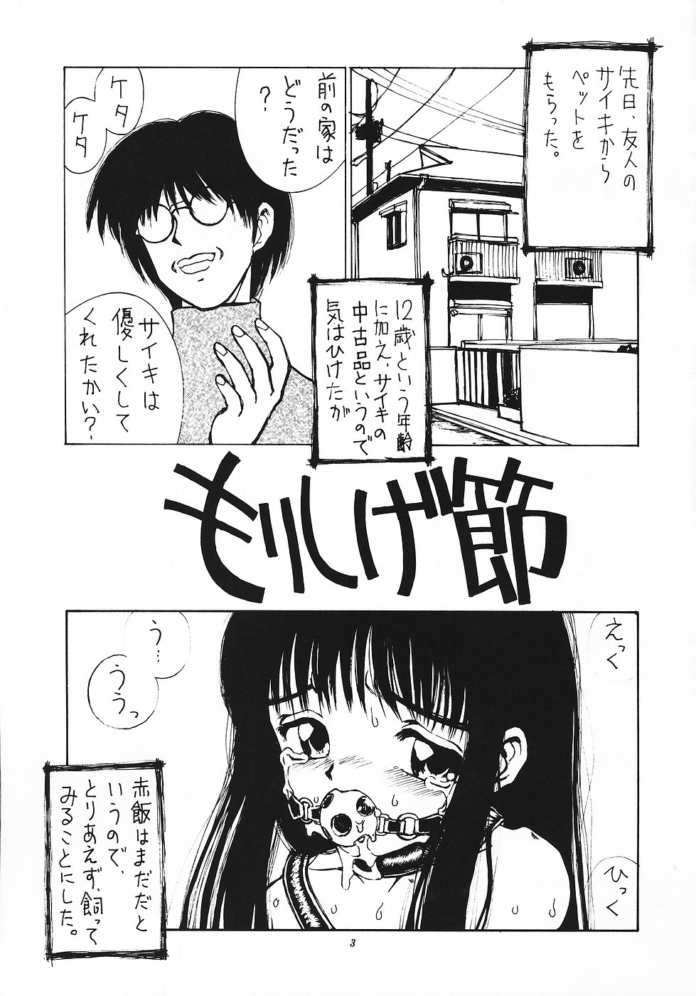 Shikisaiengi 3 page 2 full