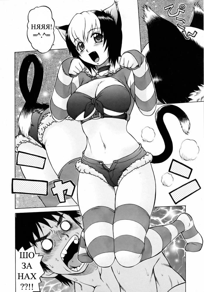 Miracle Cat Punch / Чудесная кошечка page 9 full