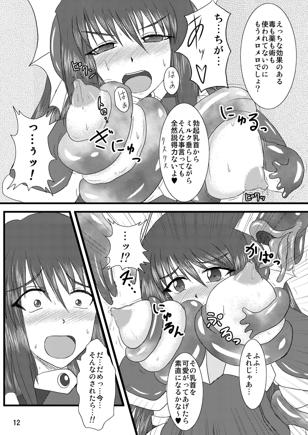 Shield Knight Elsain Vol.2 "Nightmare Agitator" page 12 full
