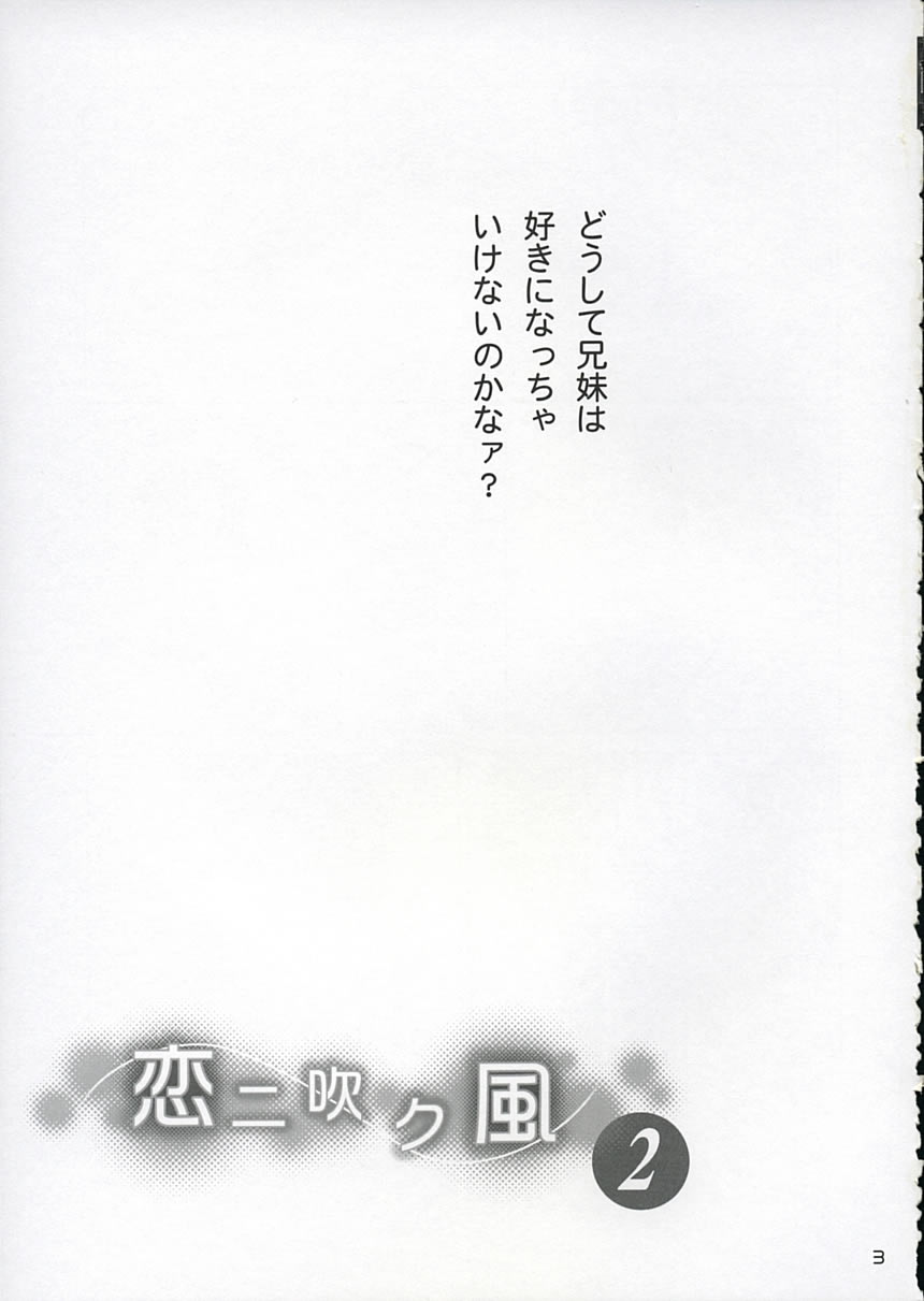 Koi ni Fuku Kaze 2 ~Nanoka~ page 2 full