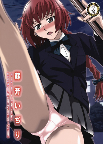 (C77) [Shioya (Shioya Maico)] Suou Ijiri (Darker than Black -Ryuusei no Gemini-) cover