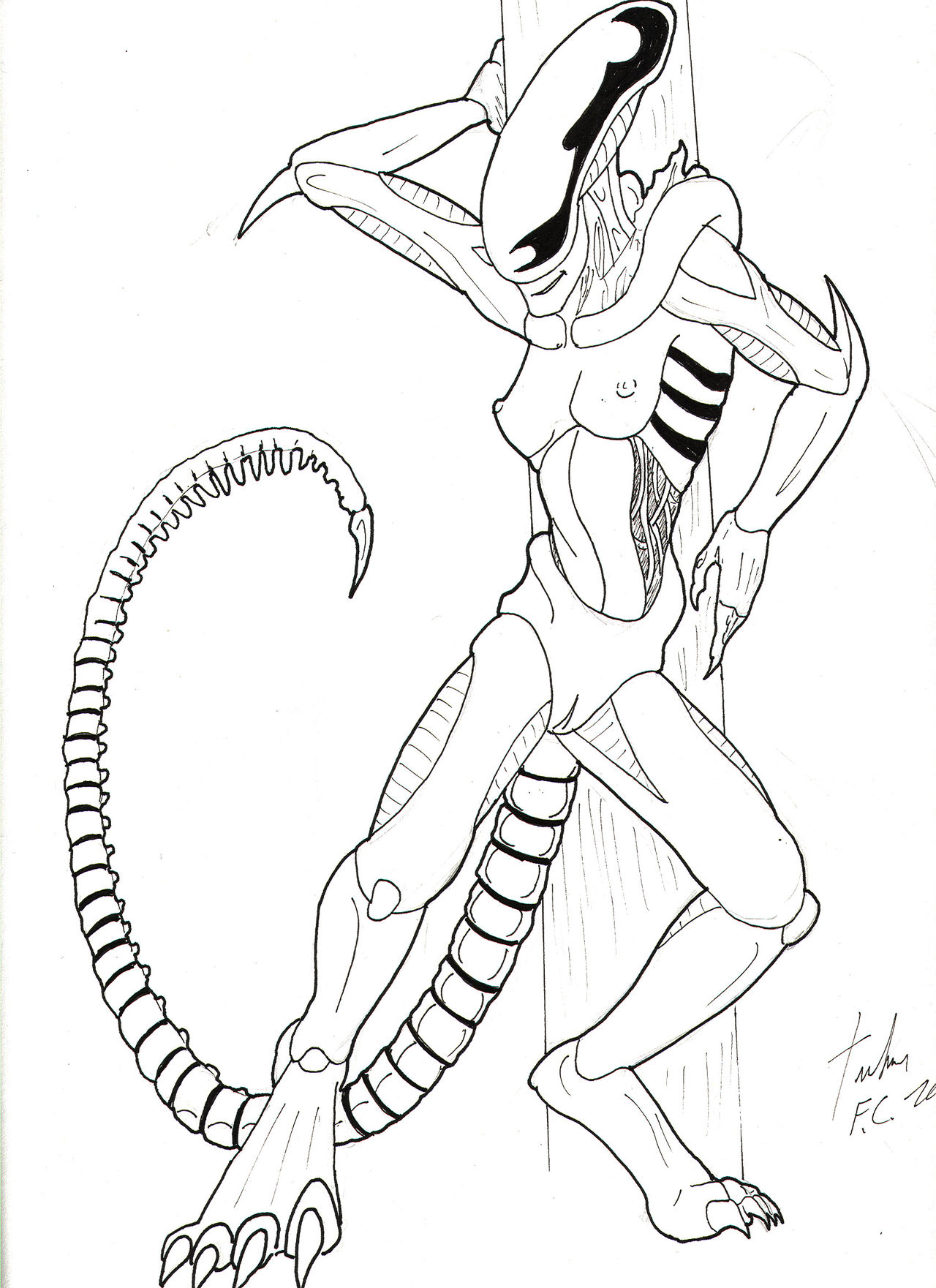 My Xenomorph  collection page 2 full