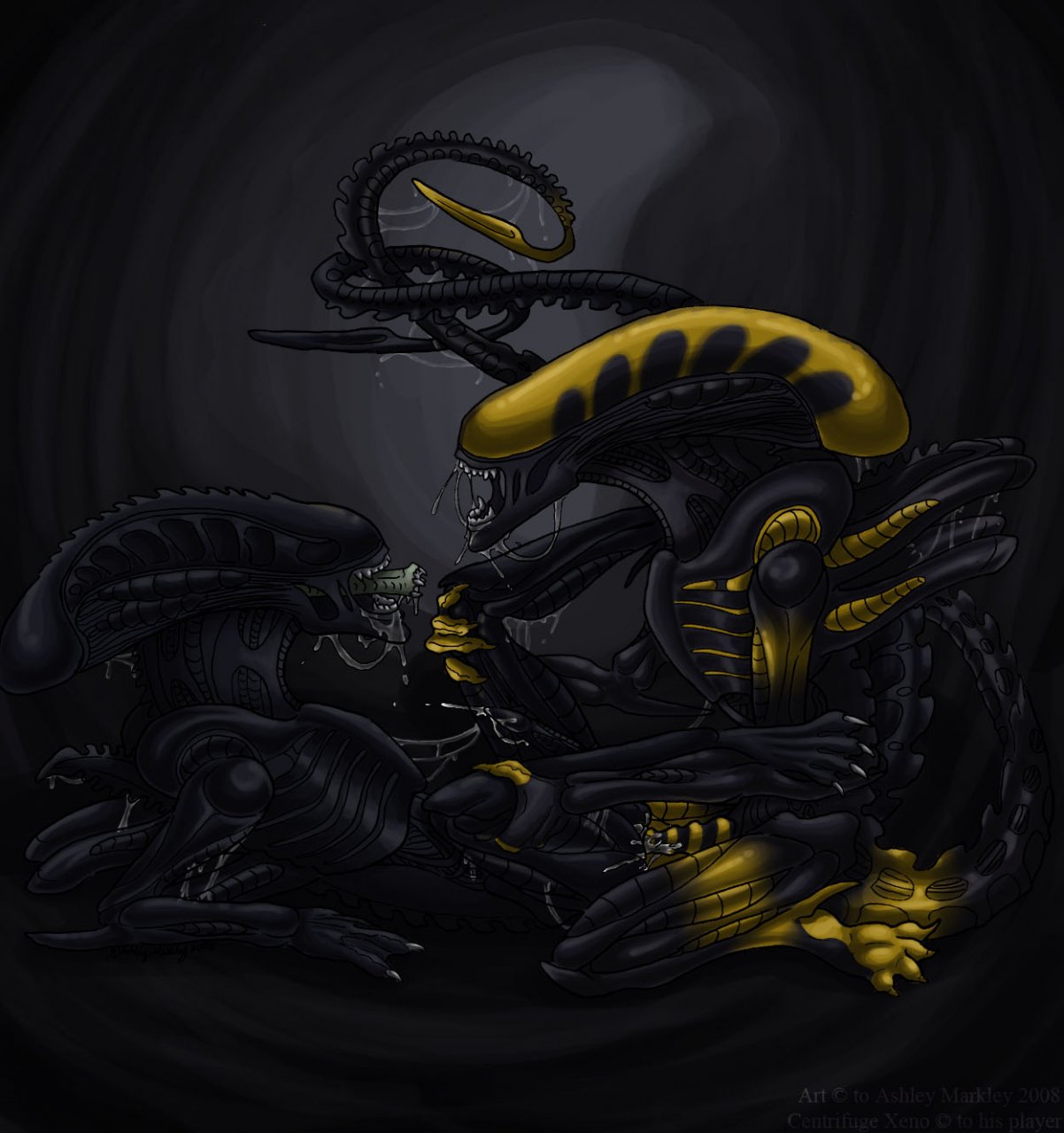 My Xenomorph  collection page 9 full