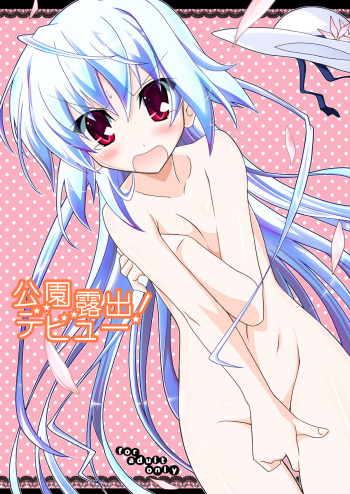 (C77) [Nihon Dandy (Matsuno Susumu)] Kouen Roshutsu! Debut cover