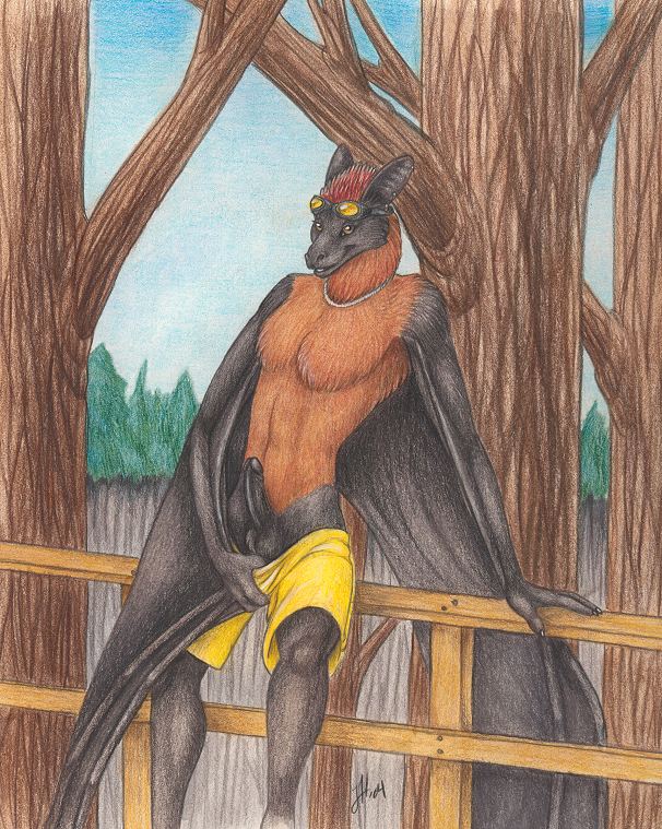 Bats page 11 full