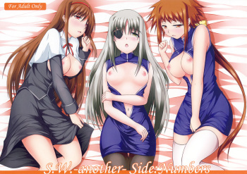 (COMIC1☆4) [ArcS (Sakura Yuu)] S.W.-another- Side:Numbers (Mahou Shoujo Lyrical Nanoha) cover