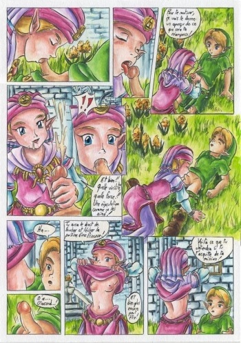 [Passage] Bad Zelda (The Legend of Zelda) [French] cover