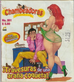 Chambeadoras 201