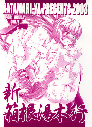 (CR33) [KATAMARI-YA (Shinama)] Shin Hakone Yumotoiki (Evangelion) cover