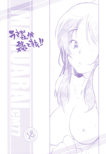 (C77) [maruarai]Usuagi-san ga kishyuttekita!! cover