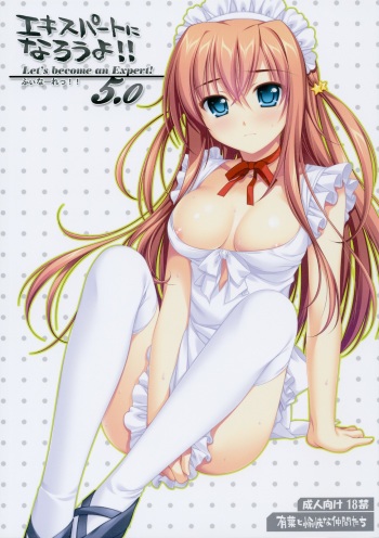 (C76) [Alpha to Yukaina Nakamatachi (Alpha)] Expert ni Narouyo!! 5.0 - Let's Become an Expert! cover