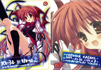 (C76) [Moehina Kagaku (Hinamatsuri Touko)] Metorare v Little 2 (Touhou Project) cover