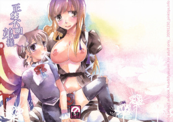 (C77) [pinktips.info (kazuha)] Shoutai Fumei no Otouto-sama (Touhou Project) cover