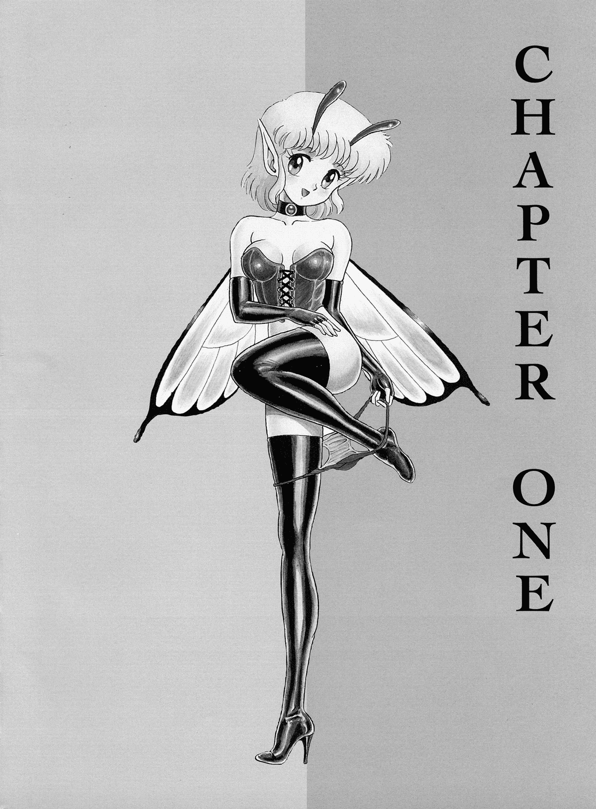 The Original Bondage Fairies. Book One. page 5 full