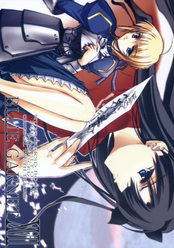 (C66) [BLUE GARNET (Serizawa Katsumi)] BLUE GARNET XVII (Fate/stay night) cover