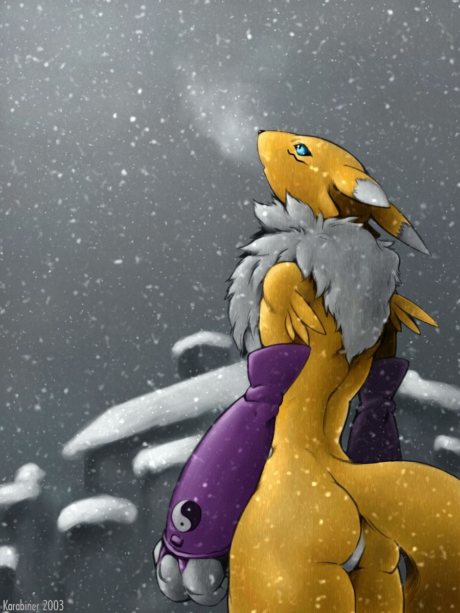 Karabiner Cd 2004 Digimon page 1 full