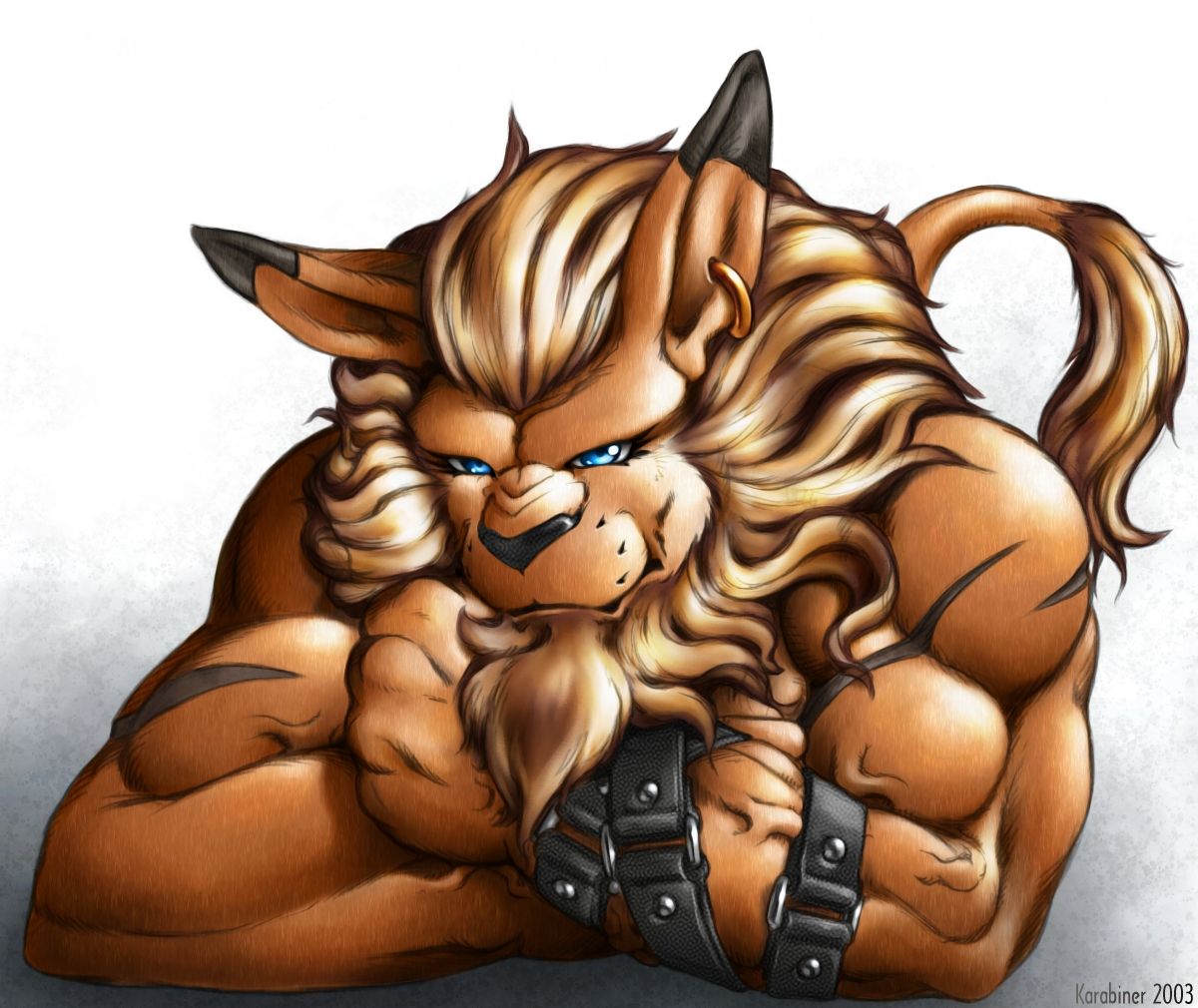 Karabiner Cd 2004 Digimon page 8 full