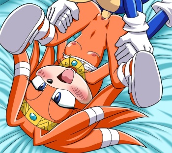 Best of the Sonic cover