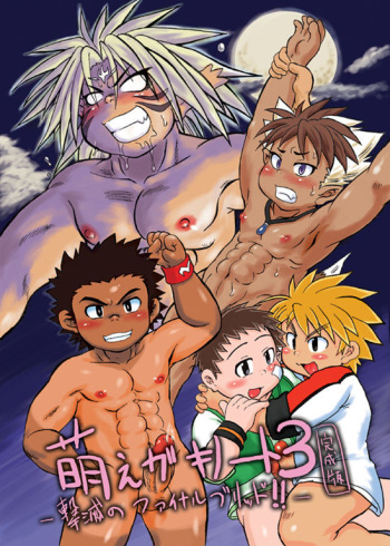 [Nibiiro no Sora (Mukaunosato Isuke)] Moegaki Note 3 -Gekimetsu no Final Brid!!- [Digital] cover