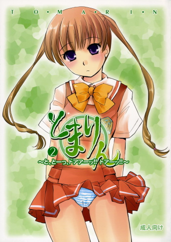 [Uni-Q] Tomarin 2 (KASHIMASHI ~girl meets girl~) cover