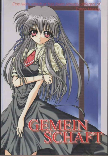 (C61) [TERRA DRIVE (Teira)] GEMEIN SCHAFT (Air) cover