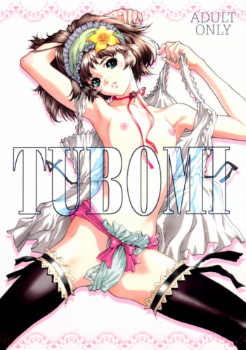(C62) [STUDIO PAL (Hazuki Kaoru)] TUBOMI [Incomplete] cover