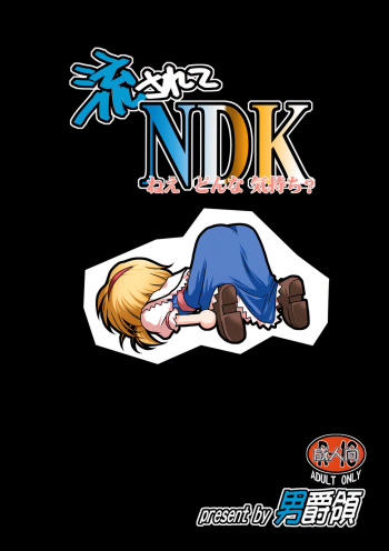 (SC46) [Danshaku Ryou (Danshaku)] Nagasarete NDK (Nee Donna Kimochi?) (Touhou Project) cover