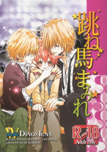 [DESORDEN (Kirihara Subako)] Haneuma Mamire (Katekyo Hitman REBORN!) cover