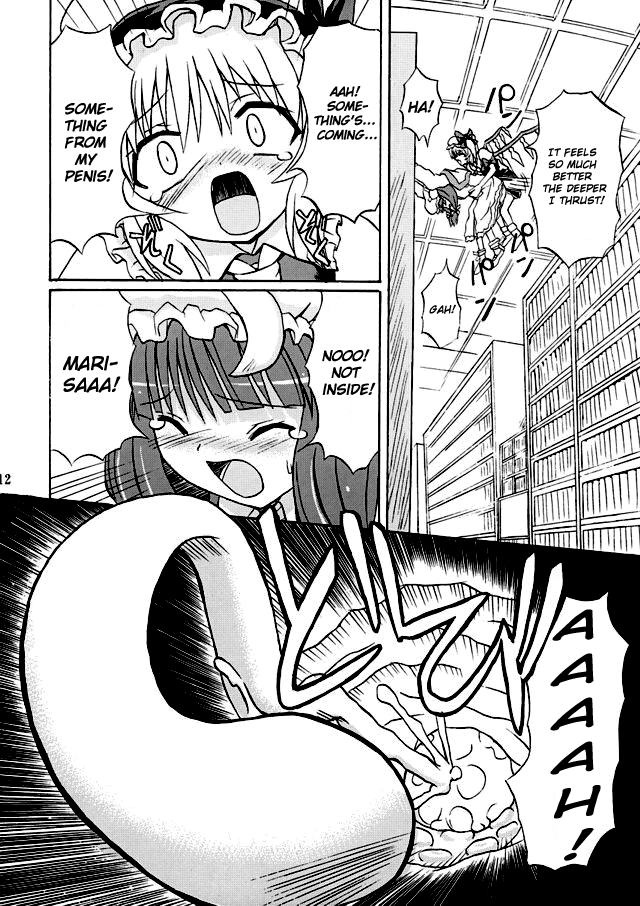 Touhou Youjo Ranbu 2 | Touhou Enchantresses' Dance 2 page 11 full