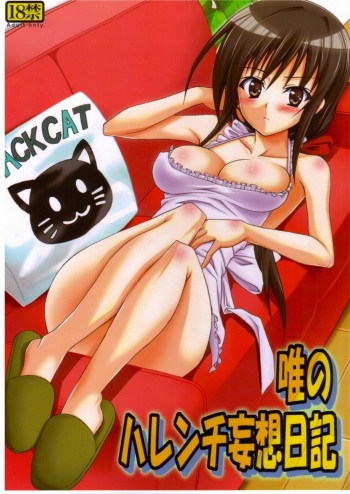 (C77) [TORA MACHINE (Kasukabe Taro)] Yui no Harenchi Mousou Nikki (To LOVE-Ru) cover