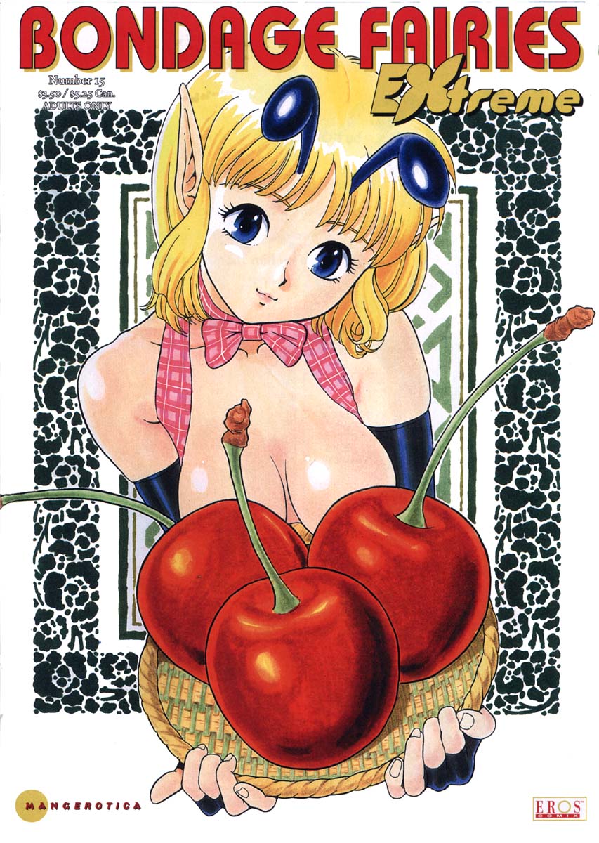 Bondage Fairies Extreme 15 page 1 full