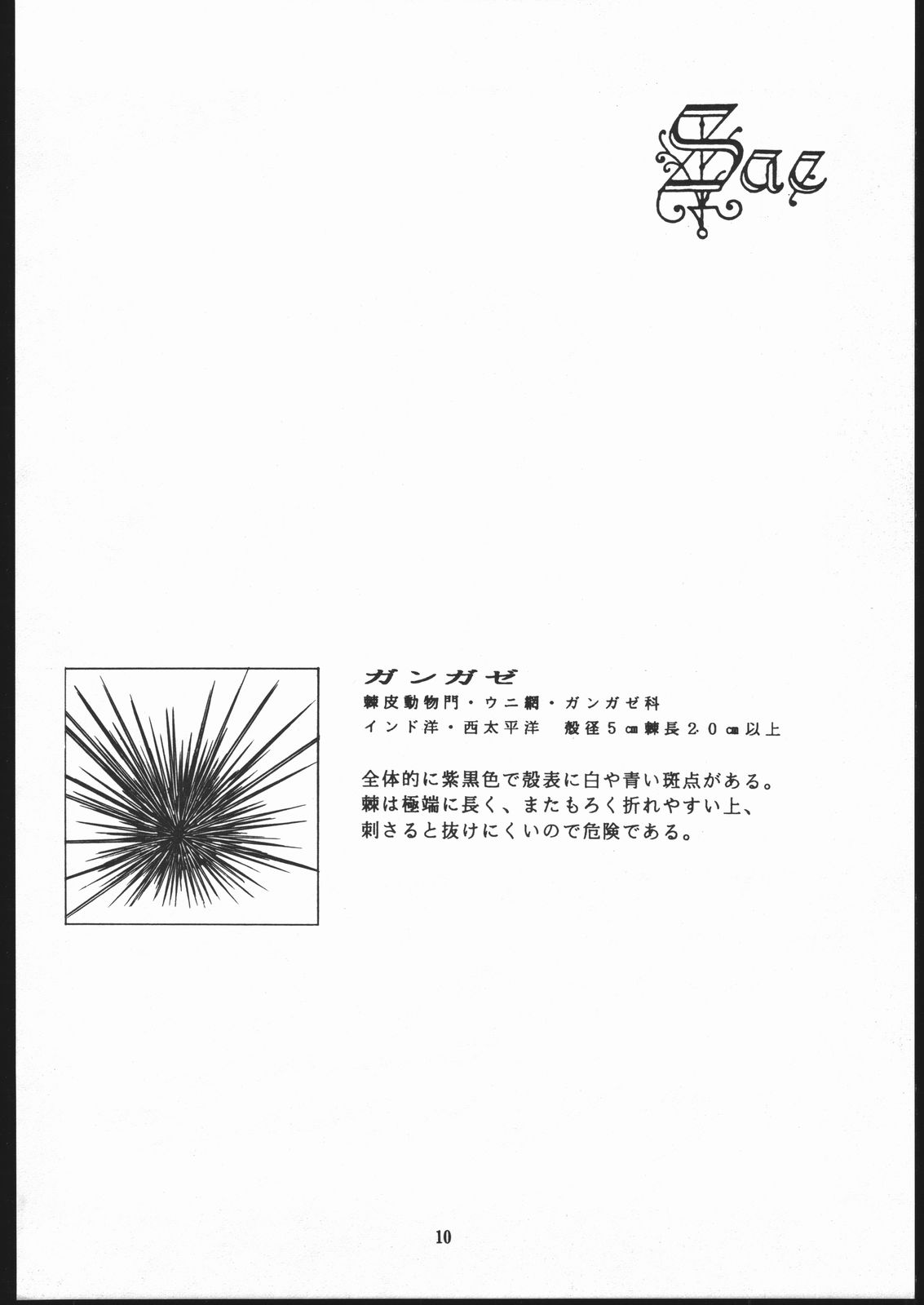 Sae Superdry II page 11 full