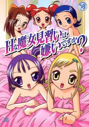 [Tokai Oohashi (Kari)] H na Majo Minarai wa Kirai desu ka? (Ojamajo Doremi) cover