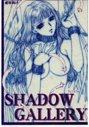 (CR28) [MEKONGDELTA (Route39)] SHADOW GALLERY cover