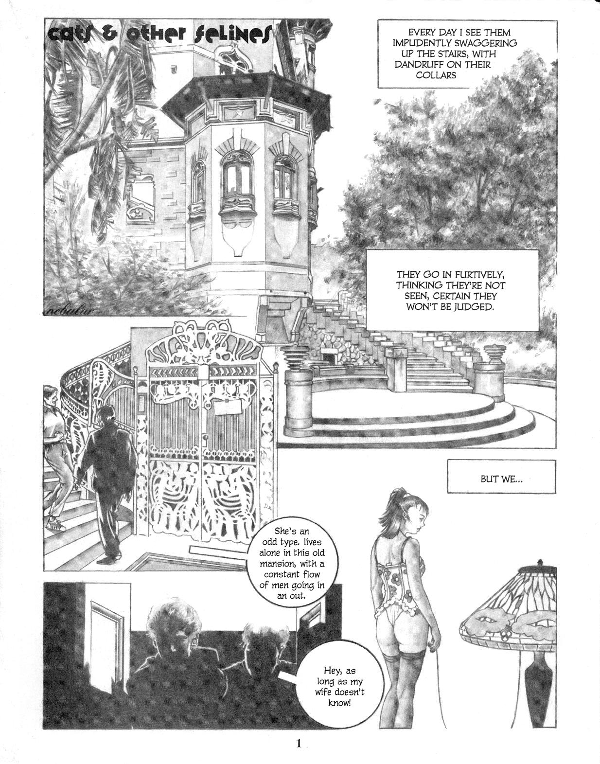 Sizzle Comix # 14 page 3 full