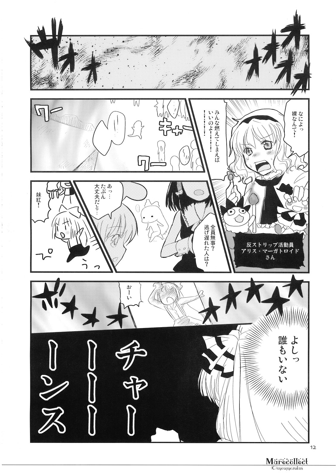 Marecollect page 12 full
