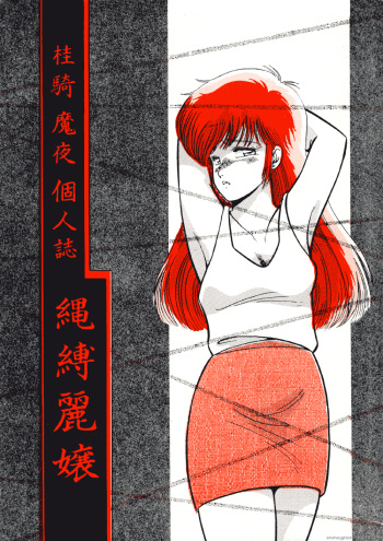 [Studio Anteros (Katsuragi Maya)] Nawa Baku Reijou (Project A-ko) [Incomplete] cover