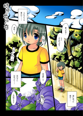[YAH-YAH-DOH (TETRAMAX)] Kikyou no Hana Saku Niwa [Digital] cover