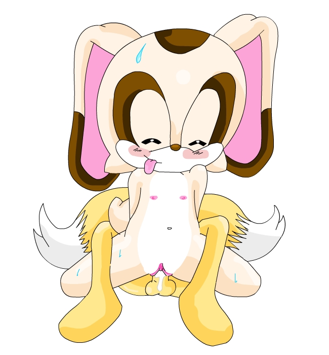Large Sonic Collection- Cream the Rabbit page 4 full